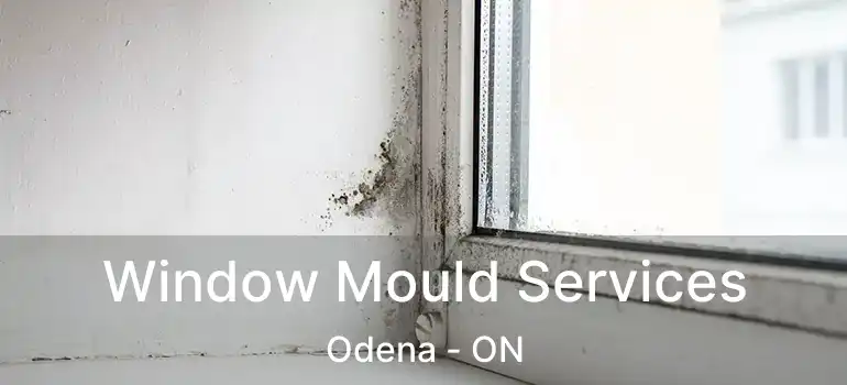  Window Mould Services Odena - ON