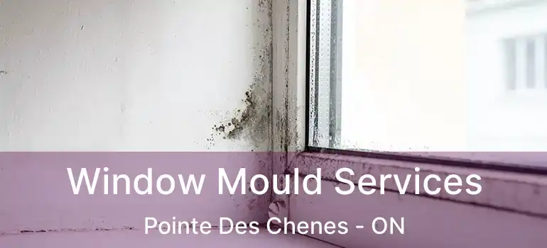  Window Mould Services Pointe Des Chenes - ON