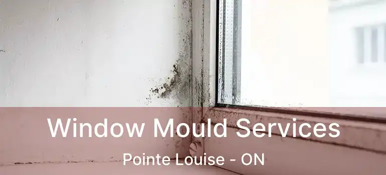  Window Mould Services Pointe Louise - ON