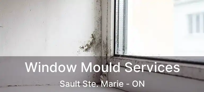  Window Mould Services Sault Ste. Marie - ON