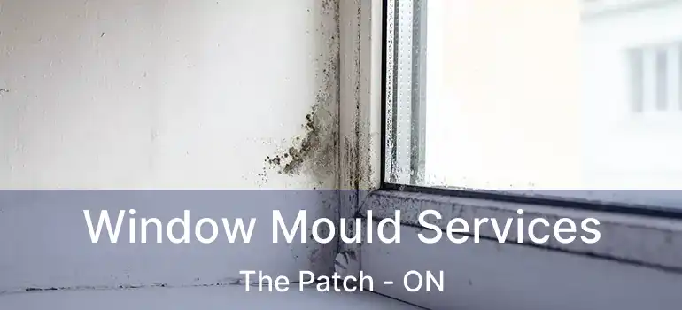  Window Mould Services The Patch - ON