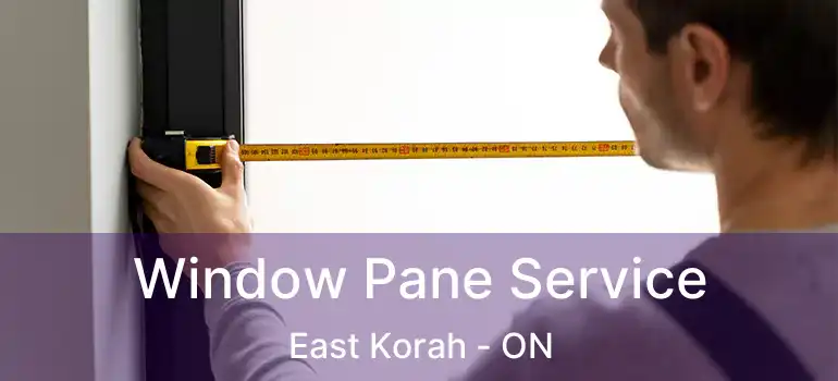  Window Pane Service East Korah - ON