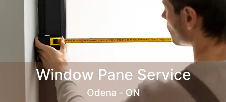  Window Pane Service Odena - ON