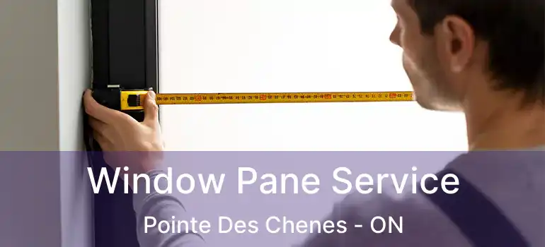  Window Pane Service Pointe Des Chenes - ON