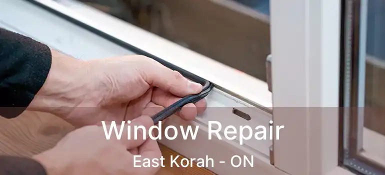  Window Repair East Korah - ON