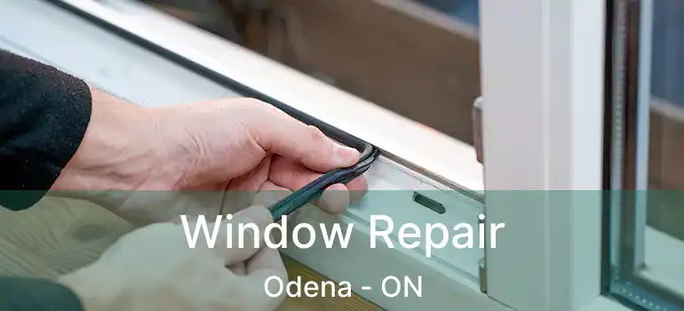  Window Repair Odena - ON