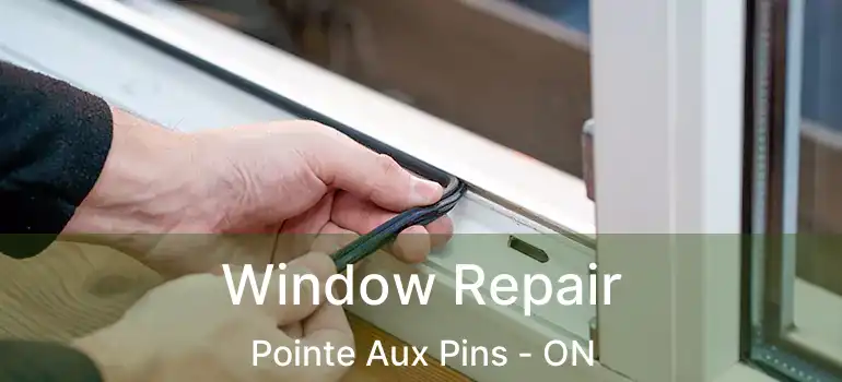  Window Repair Pointe Aux Pins - ON