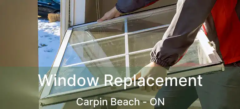  Window Replacement Carpin Beach - ON