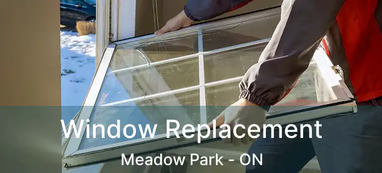  Window Replacement Meadow Park - ON
