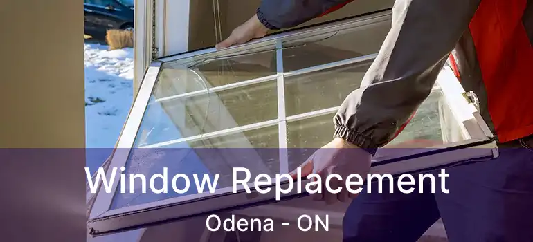  Window Replacement Odena - ON