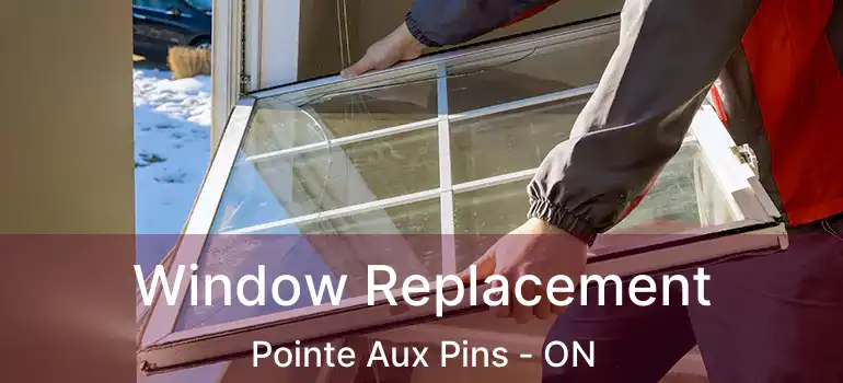  Window Replacement Pointe Aux Pins - ON