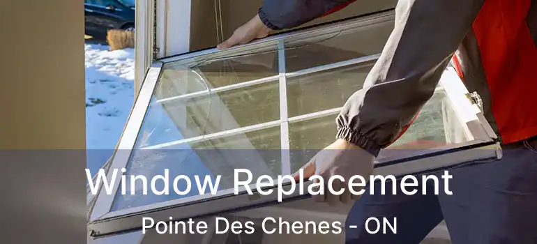  Window Replacement Pointe Des Chenes - ON