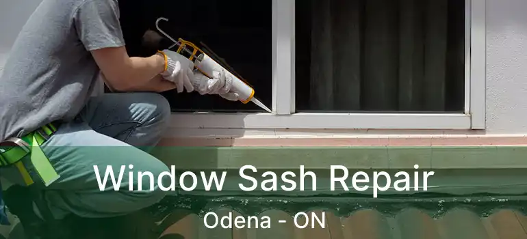  Window Sash Repair Odena - ON