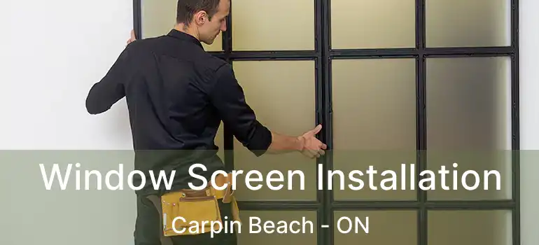  Window Screen Installation Carpin Beach - ON