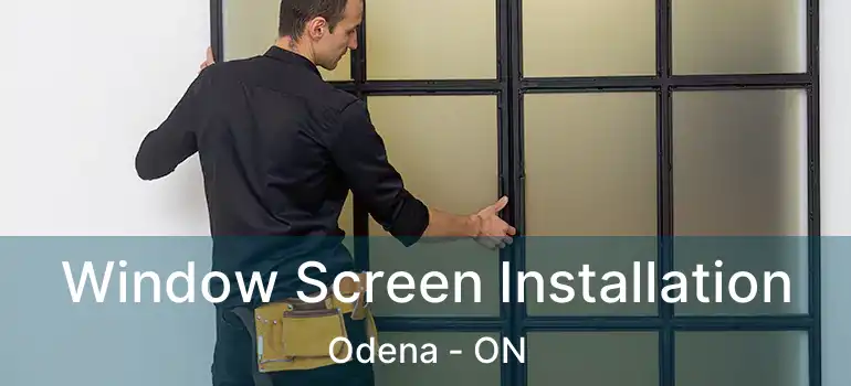  Window Screen Installation Odena - ON