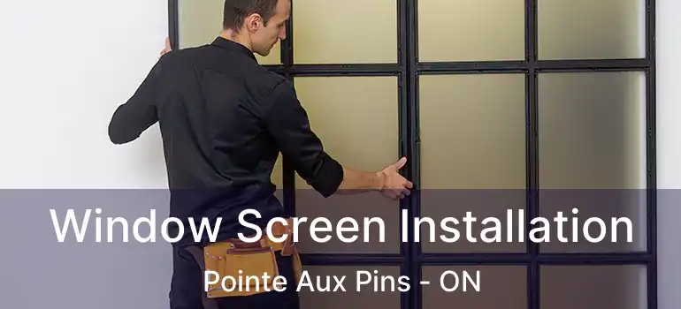  Window Screen Installation Pointe Aux Pins - ON