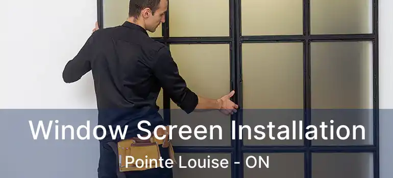  Window Screen Installation Pointe Louise - ON