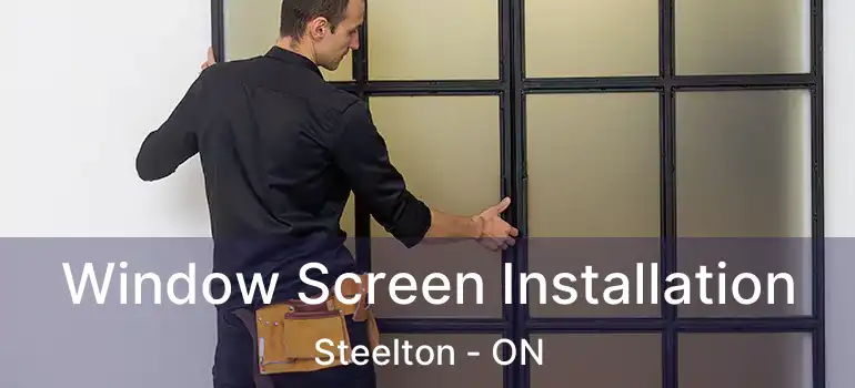  Window Screen Installation Steelton - ON