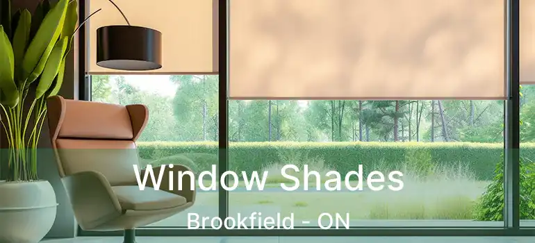  Window Shades Brookfield - ON