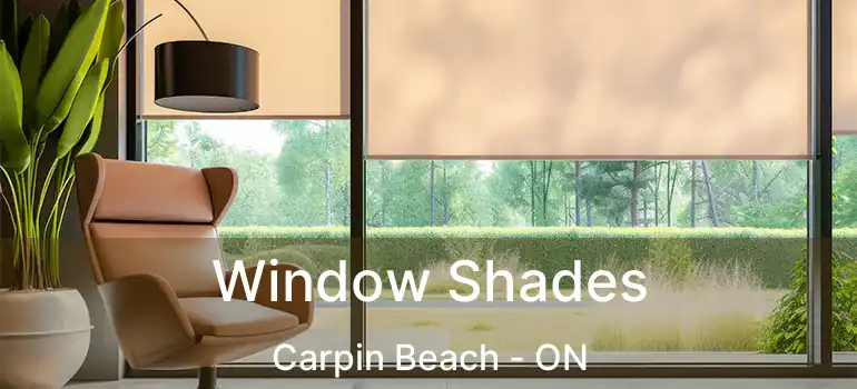  Window Shades Carpin Beach - ON