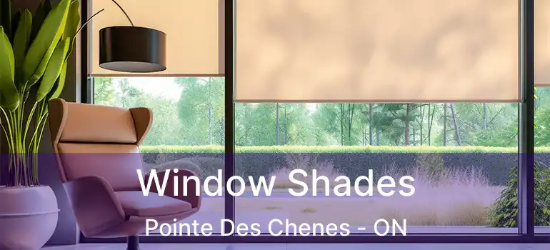  Window Shades Pointe Des Chenes - ON
