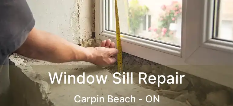  Window Sill Repair Carpin Beach - ON