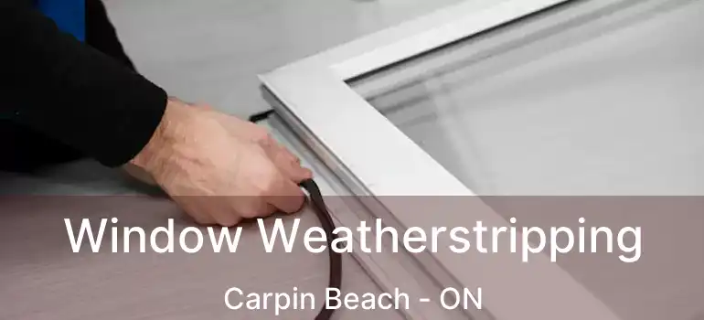  Window Weatherstripping Carpin Beach - ON