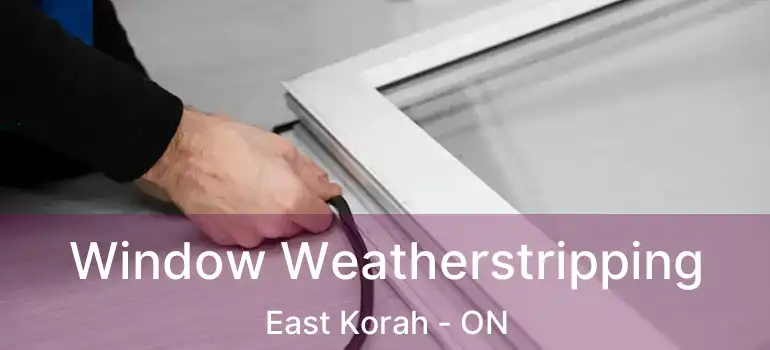  Window Weatherstripping East Korah - ON