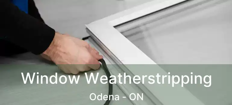  Window Weatherstripping Odena - ON