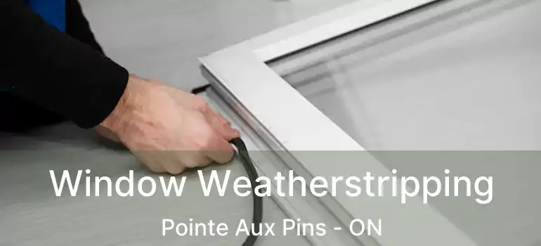  Window Weatherstripping Pointe Aux Pins - ON