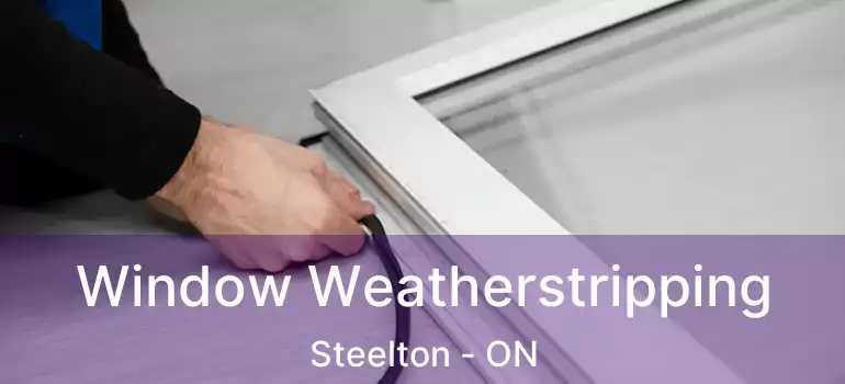  Window Weatherstripping Steelton - ON