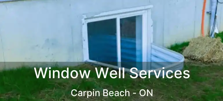  Window Well Services Carpin Beach - ON