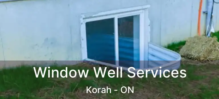  Window Well Services Korah - ON