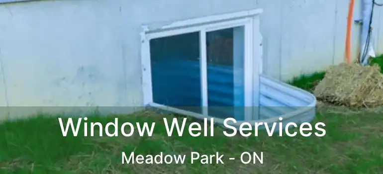  Window Well Services Meadow Park - ON