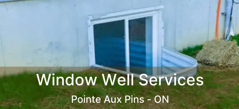  Window Well Services Pointe Aux Pins - ON