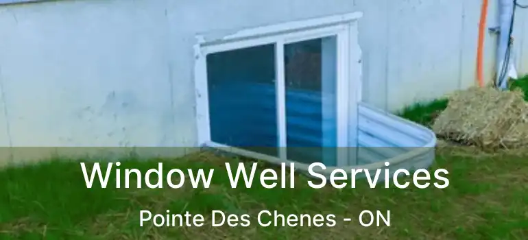  Window Well Services Pointe Des Chenes - ON