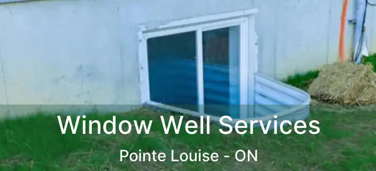  Window Well Services Pointe Louise - ON