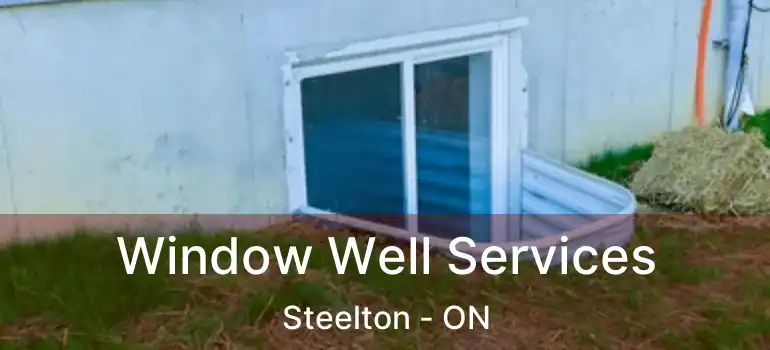  Window Well Services Steelton - ON