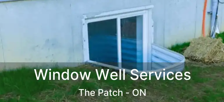  Window Well Services The Patch - ON