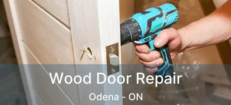  Wood Door Repair Odena - ON