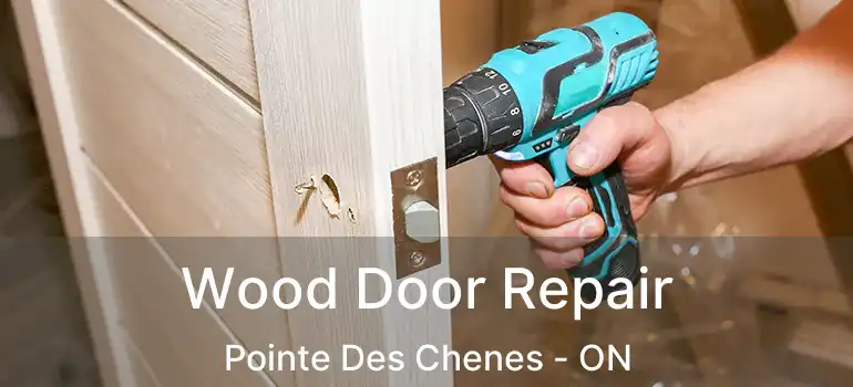  Wood Door Repair Pointe Des Chenes - ON